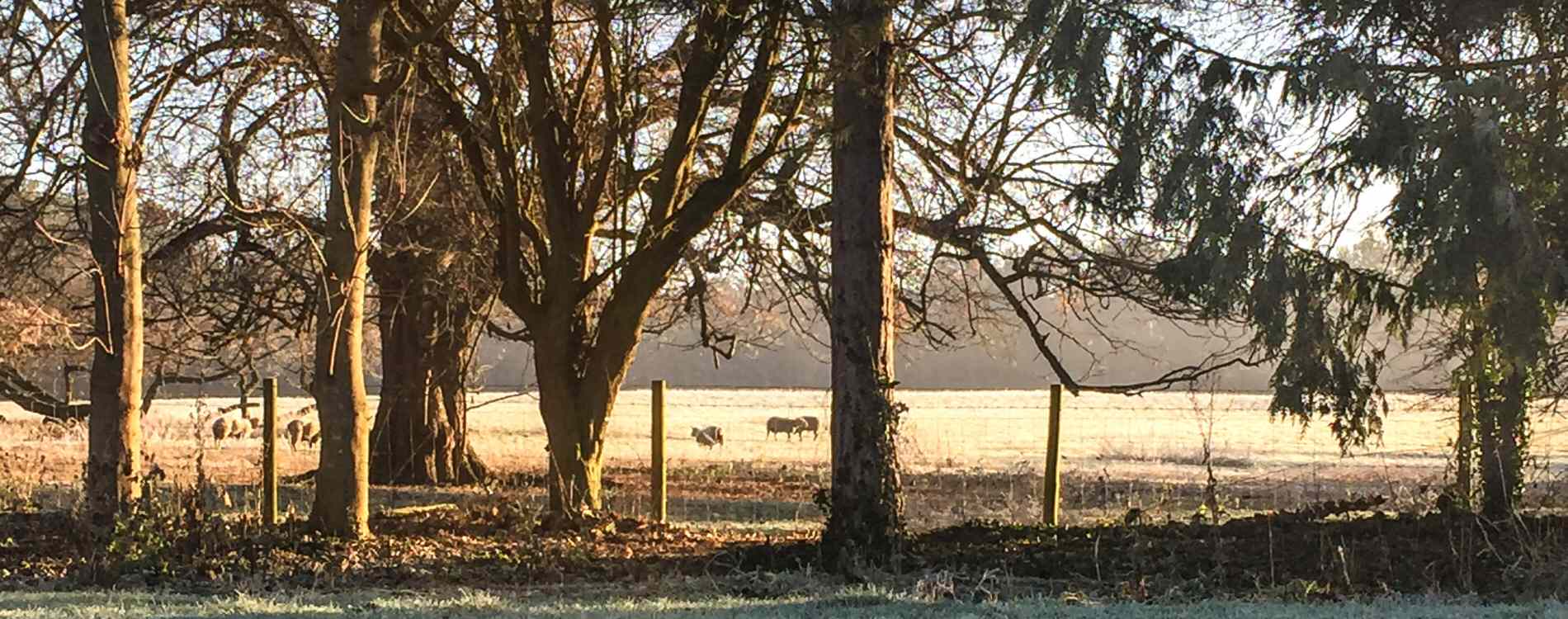 The View from behind the Eyston Arms